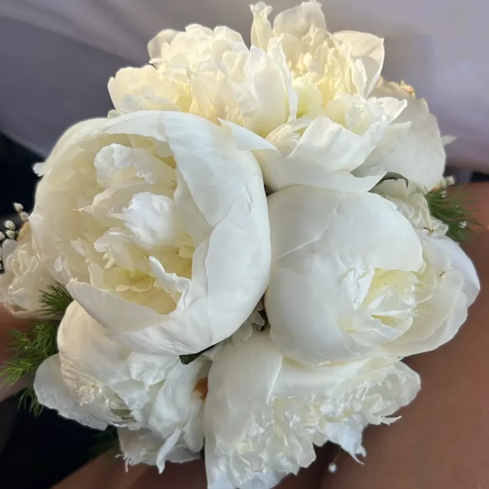 Elegantni Beli Bidermajer sa Božurima - Image 3