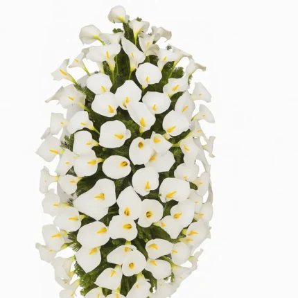 Velika suza od 150 belih kala za sanduk