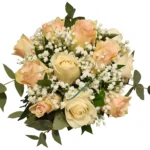 Bidermajer od 13 krem i roze ruža sa gipsofilom, zelenilom i satenskom trakom – cvećara Zemun, dostava Beograd