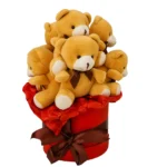 Box sa 9 plišanih meda i mašnom – cvećara Zemun, dostava poklona Beograd