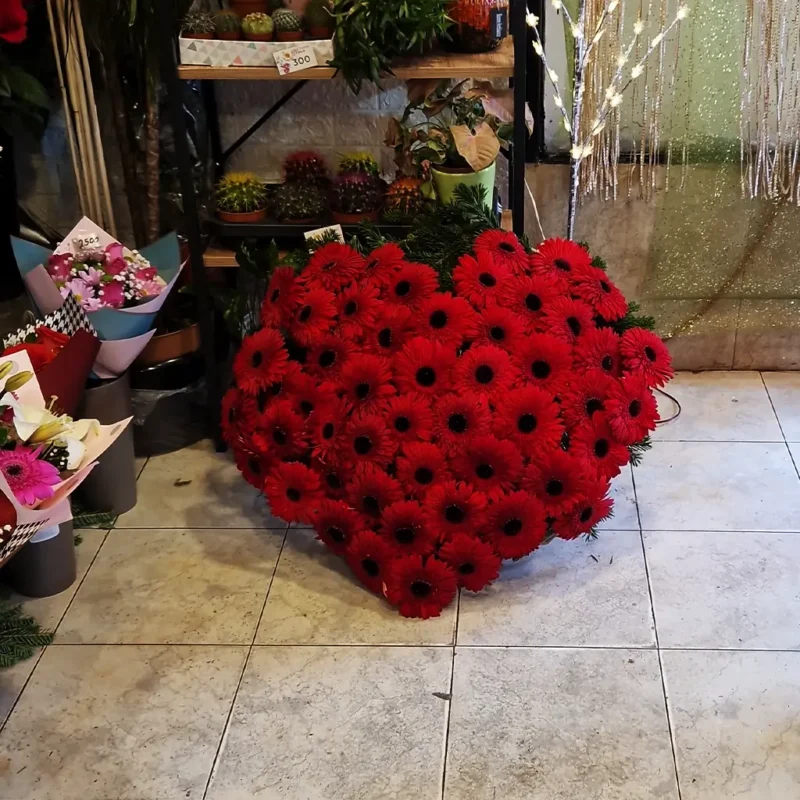 Veliki venac u obliku srca od 50 crvenih gerbera sa zelenilom – dostava Beograd i Zemun
