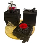 Večna ruža u luksuznom pakovanju sa osvetljenjem