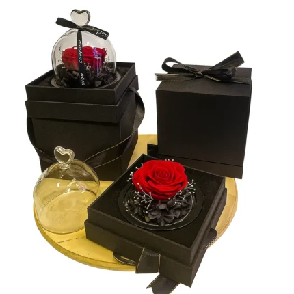 Večna ruža u luksuznom pakovanju sa osvetljenjem