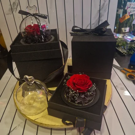 Detalj večne ruže sa osvetljenjem u kupoli